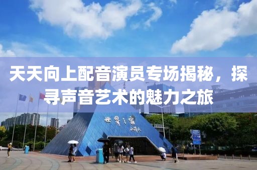 天天向上配音演员专场揭秘，探寻声音艺术的魅力之旅