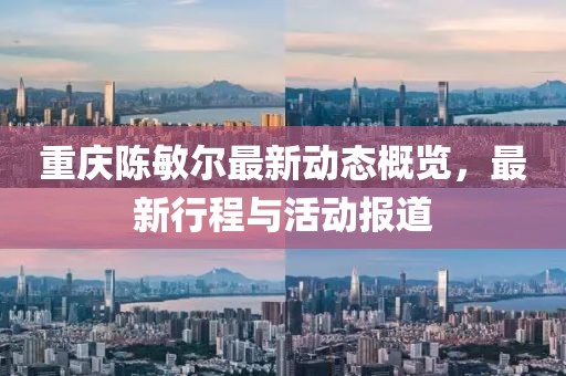 重庆陈敏尔最新动态概览，最新行程与活动报道