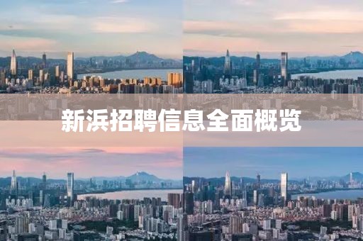 新浜招聘信息全面概览