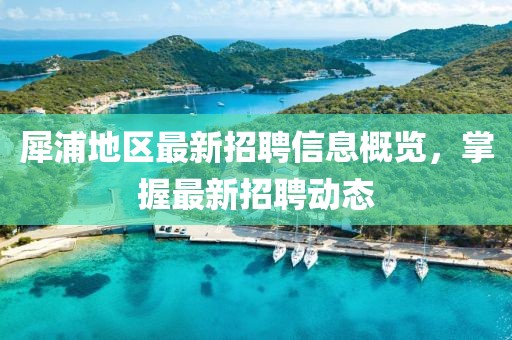 犀浦地区最新招聘信息概览，掌握最新招聘动态