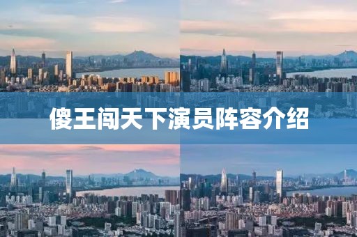 傻王闯天下演员阵容介绍
