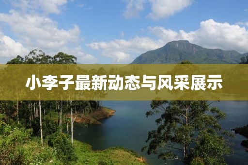 小李子最新动态与风采展示