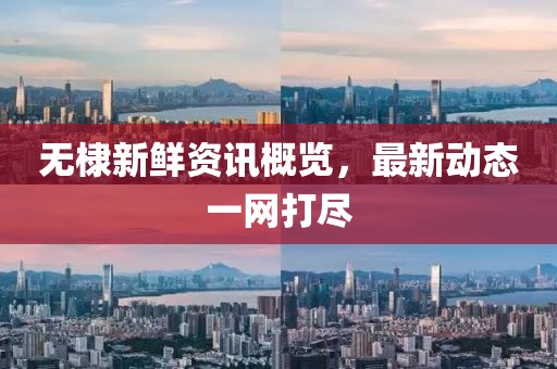 无棣新鲜资讯概览，最新动态一网打尽