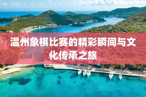 温州象棋比赛的精彩瞬间与文化传承之旅