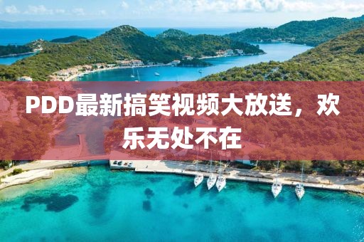 PDD最新搞笑视频大放送，欢乐无处不在