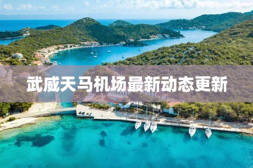 武威天马机场最新动态更新