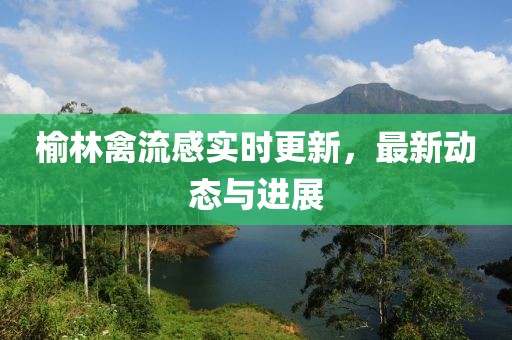 榆林禽流感实时更新，最新动态与进展
