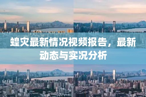 蝗灾最新情况视频报告，最新动态与实况分析
