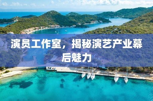 演员工作室，揭秘演艺产业幕后魅力