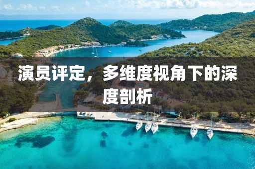 演员评定，多维度视角下的深度剖析