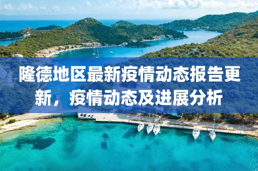隆德地区最新疫情动态报告更新，疫情动态及进展分析
