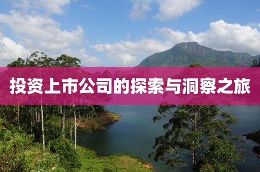 投资上市公司的探索与洞察之旅