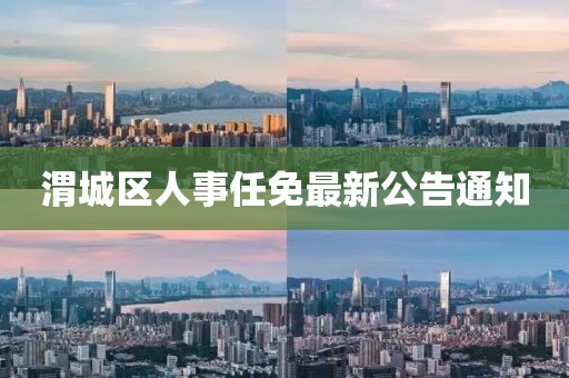 渭城区人事任免最新公告通知