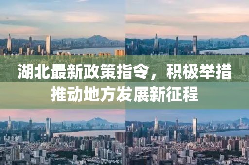 湖北最新政策指令，积极举措推动地方发展新征程