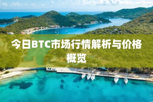 今日BTC市场行情解析与价格概览