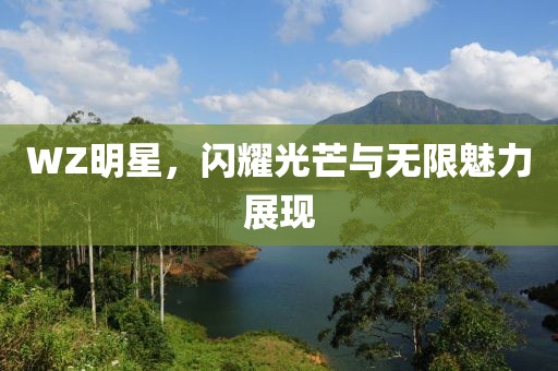 WZ明星，闪耀光芒与无限魅力展现