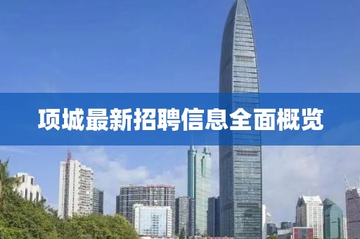 项城最新招聘信息全面概览