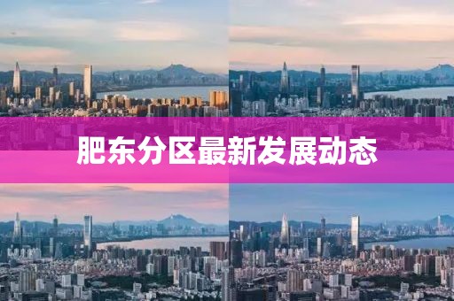 肥东分区最新发展动态