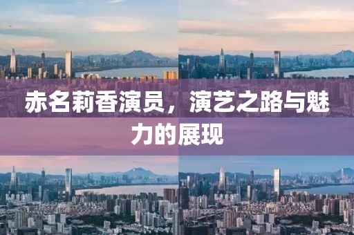 赤名莉香演员，演艺之路与魅力的展现