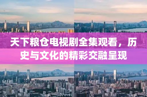 天下粮仓电视剧全集观看，历史与文化的精彩交融呈现