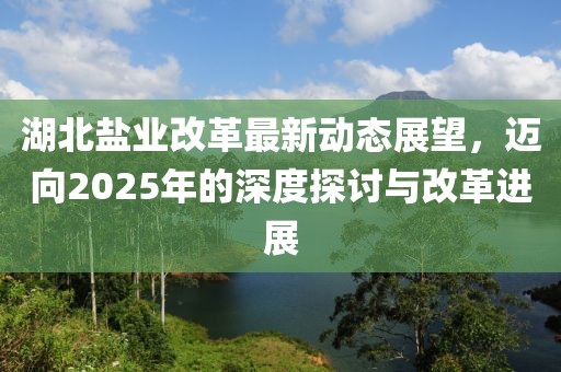 湖北盐业改革最新动态展望，迈向2025年的深度探讨与改革进展