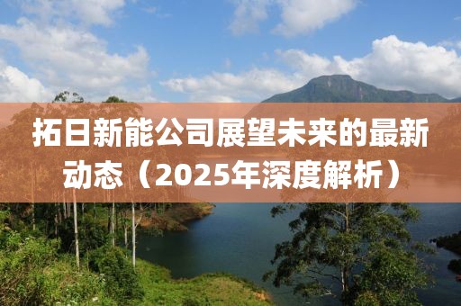 拓日新能公司展望未来的最新动态（2025年深度解析）