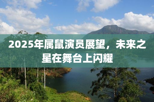 2025年属鼠演员展望，未来之星在舞台上闪耀