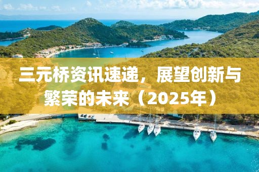 三元桥资讯速递，展望创新与繁荣的未来（2025年）