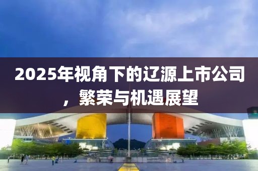 2025年视角下的辽源上市公司，繁荣与机遇展望