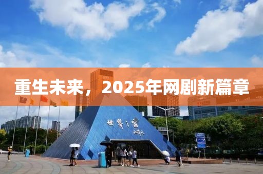 重生未来，2025年网剧新篇章