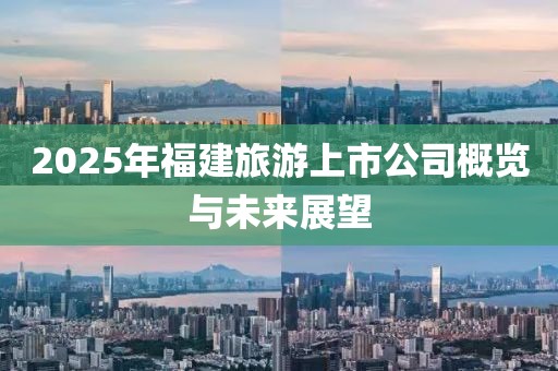 2025年福建旅游上市公司概览与未来展望