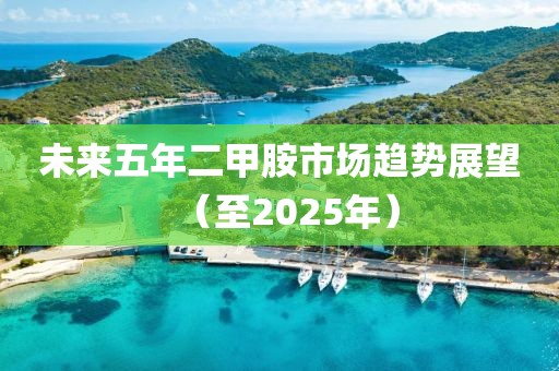 未来五年二甲胺市场趋势展望（至2025年）