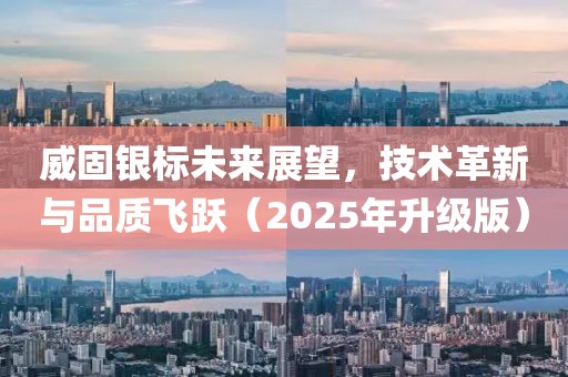 威固银标未来展望，技术革新与品质飞跃（2025年升级版）
