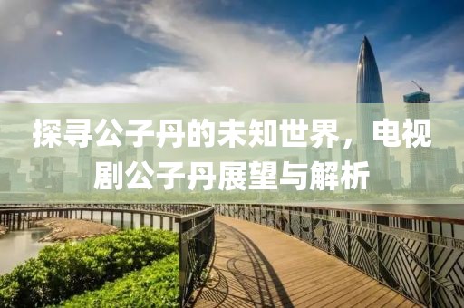探寻公子丹的未知世界，电视剧公子丹展望与解析