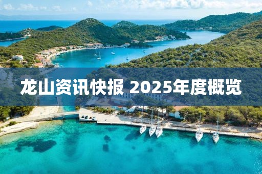 龙山资讯快报 2025年度概览