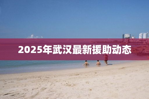 2025年武汉最新援助动态