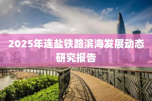 2025年连盐铁路滨海发展动态研究报告