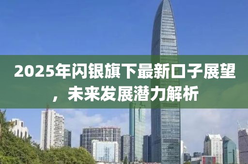 2025年闪银旗下最新口子展望，未来发展潜力解析