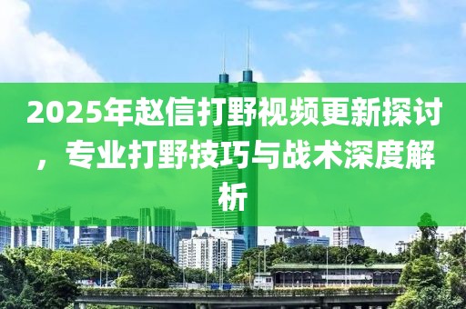 2025年赵信打野视频更新探讨，专业打野技巧与战术深度解析
