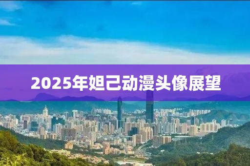 2025年妲己动漫头像展望