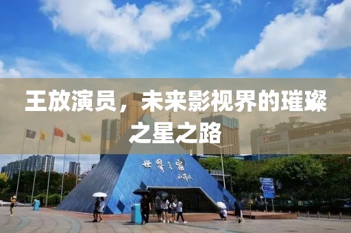 王放演员，未来影视界的璀璨之星之路