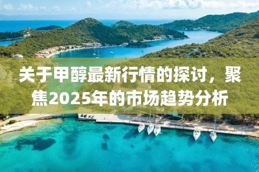 关于甲醇最新行情的探讨，聚焦2025年的市场趋势分析