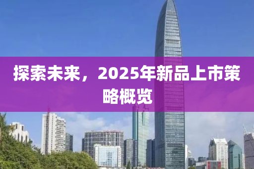 探索未来，2025年新品上市策略概览