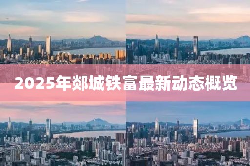 2025年郯城铁富最新动态概览