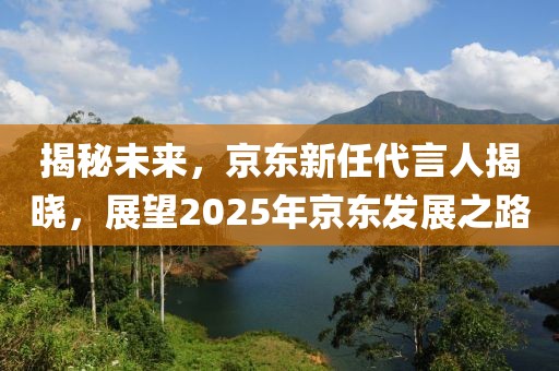 揭秘未来，京东新任代言人揭晓，展望2025年京东发展之路