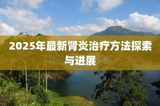 2025年最新肾炎治疗方法探索与进展