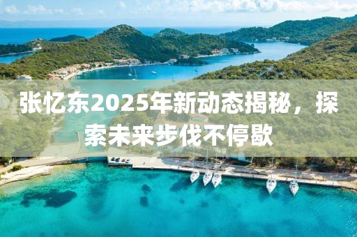张忆东2025年新动态揭秘，探索未来步伐不停歇