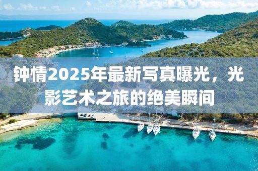 钟情2025年最新写真曝光，光影艺术之旅的绝美瞬间