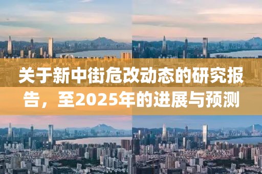 关于新中街危改动态的研究报告，至2025年的进展与预测