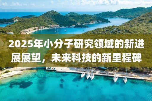 2025年小分子研究领域的新进展展望，未来科技的新里程碑